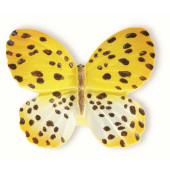 72-112 Siro Designs Butterflies - 40mm Knob in Yellow W/ Brown Dots & Stripes